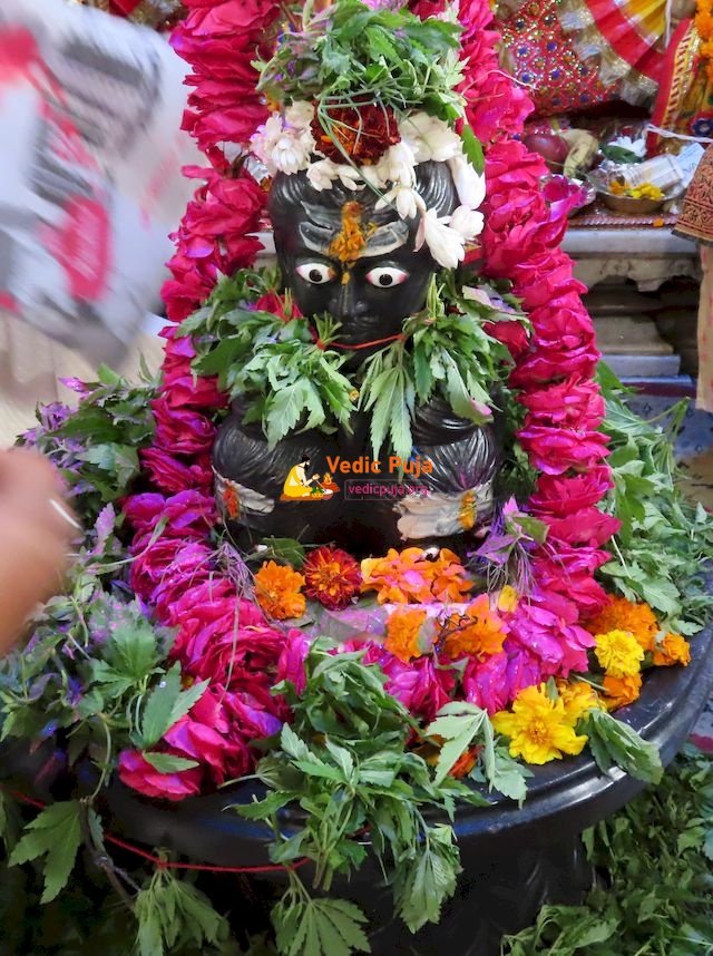 Laghu Rudra (Maha Rudra Abhishek) Puja